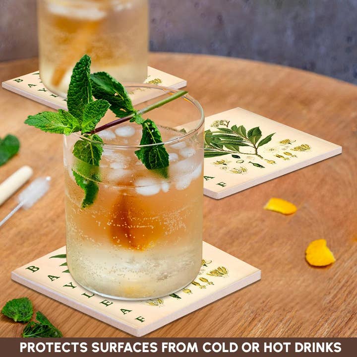 3dRose - Wholesale Coasters - 3dRose, Bay Leaf Kitchen Art - Bay Leaves Tree Herb Plant Print Cooking Gift, Coaster2