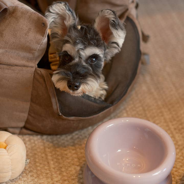 PEHOM - Wholesale Pet Bowl - Cat/Dog - Soufflé Pet Bowl - Purple