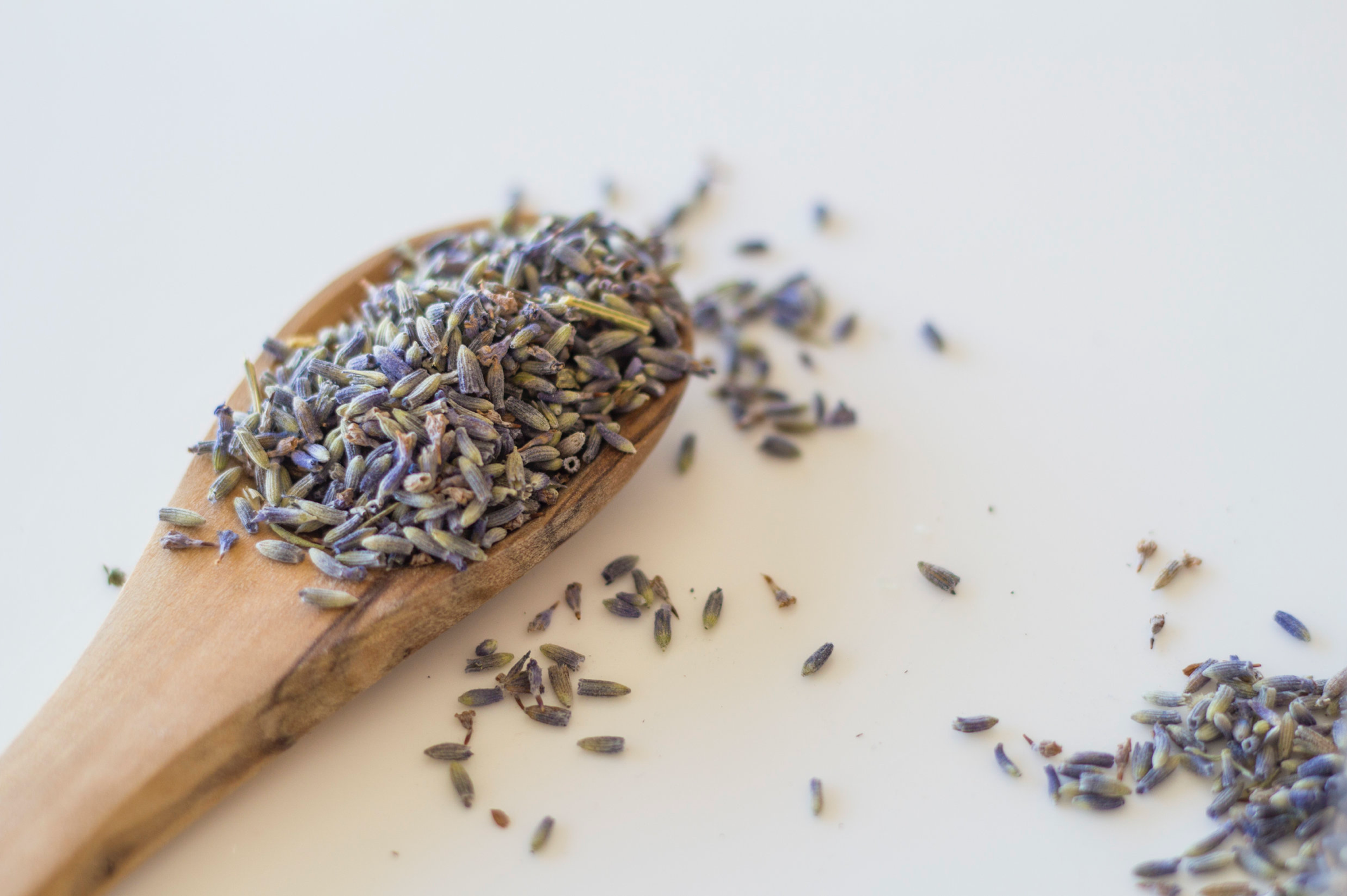Sweet Streams Lavender Co. – Ervas por atacado – Lavanda culinária a granel1