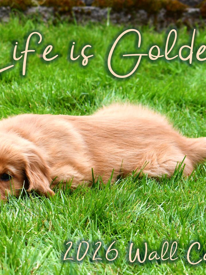 Golden Retriever Photo Calendar 2026 – Dog Holidays for wholesale by Near and Far Design Studio