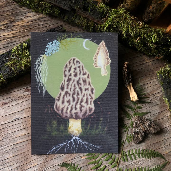 Up Moss Creek Studio - Wholesale Postcard - Morel Postcard
