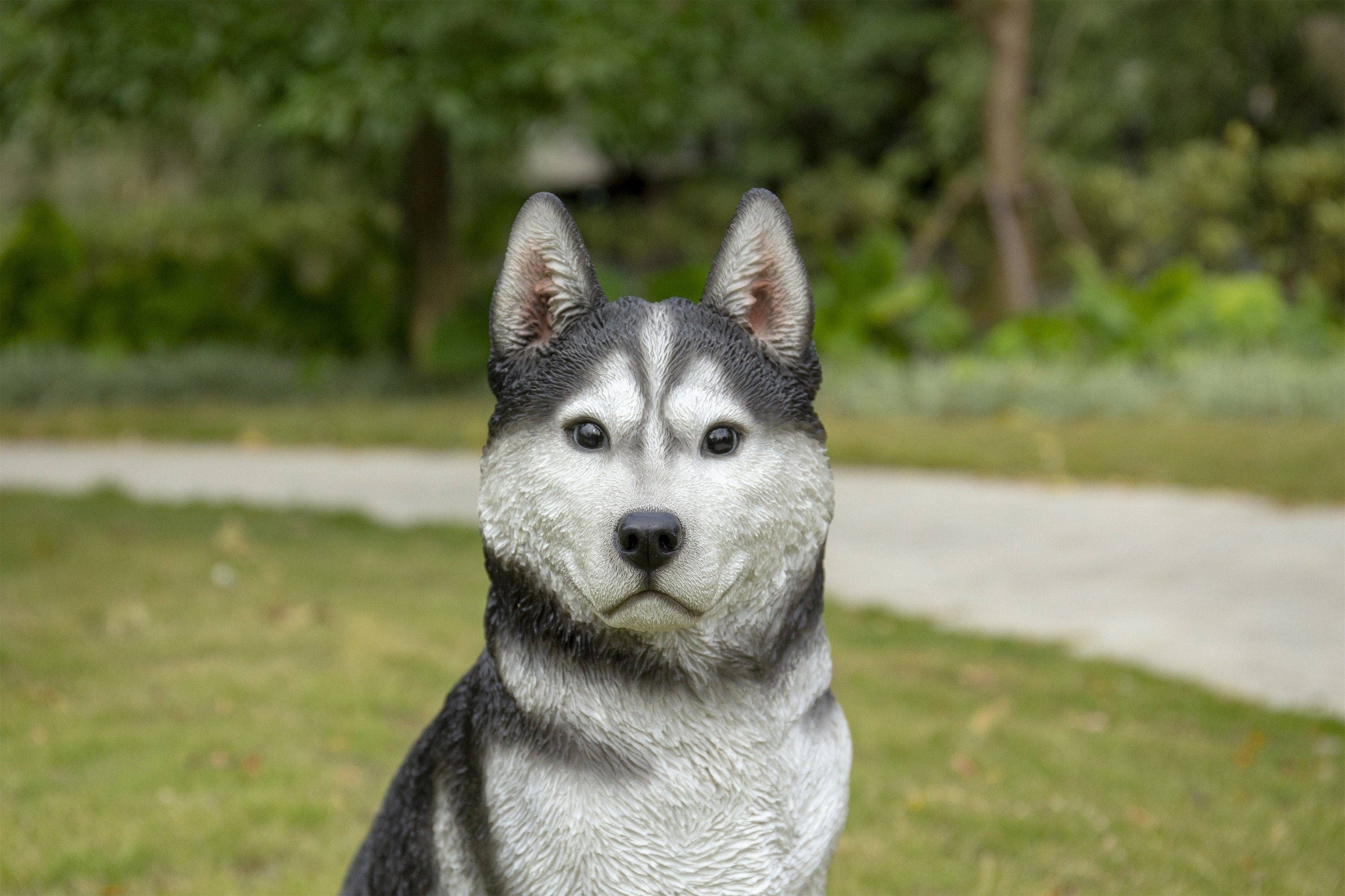 Hi-Line Gift Ltd. - Wholesale Outdoor Ornament/Decor - Large Black & White Siberian Husky Sitting4