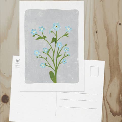 Wren and the Raven - Wholesale Postcard - Alaska Wildlife Series Postcards13