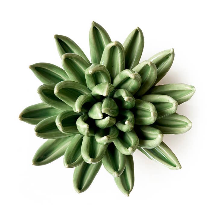 English Garden Ceramic Flower Green Large Succulent for wholesale by Chive UK