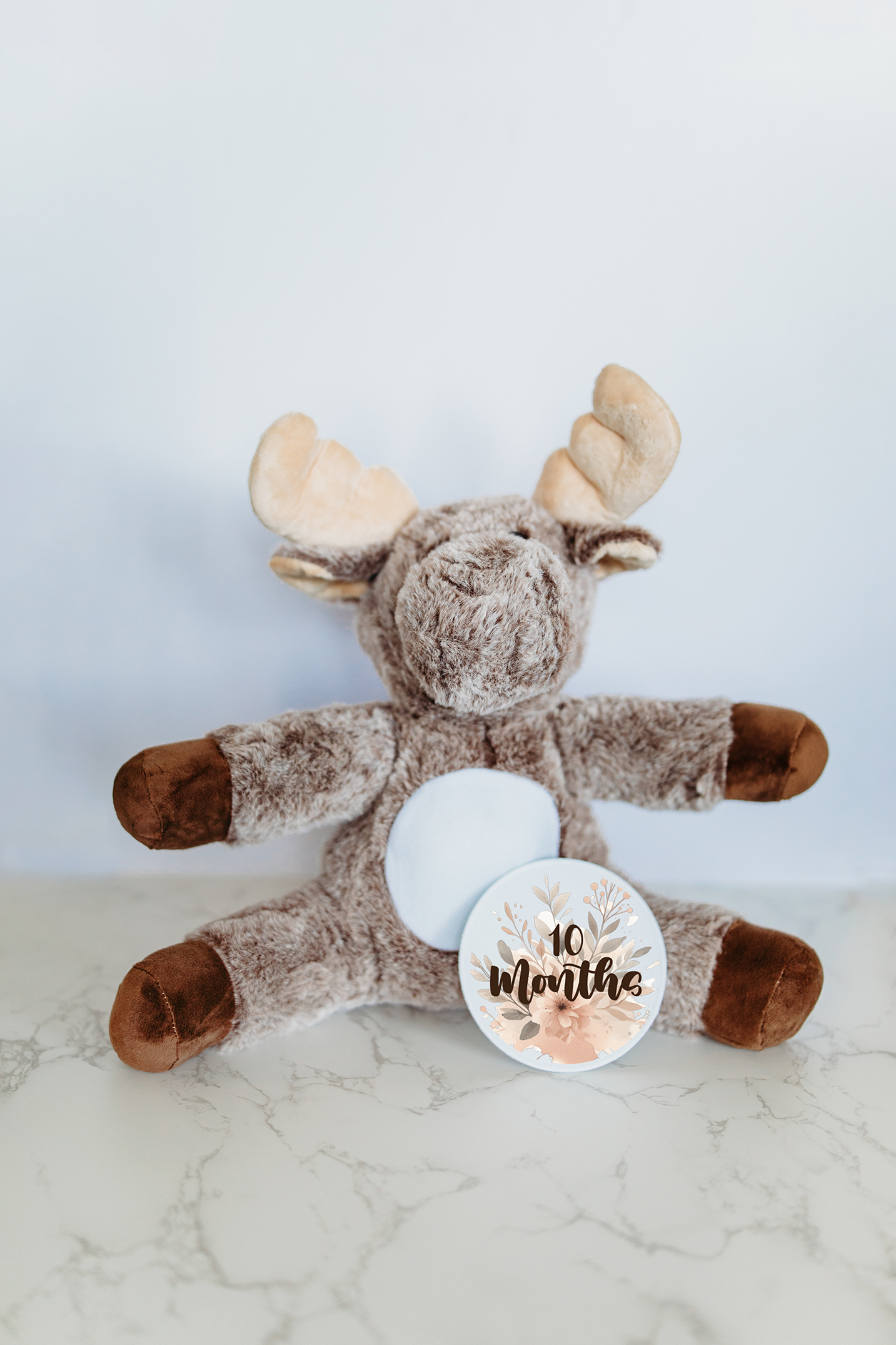 Grow With Me Baby Co - Wholesale Stuffed/Plush Toy - Kids & Baby - Baby Monthly Milestones, Moose Stuffed Animal6