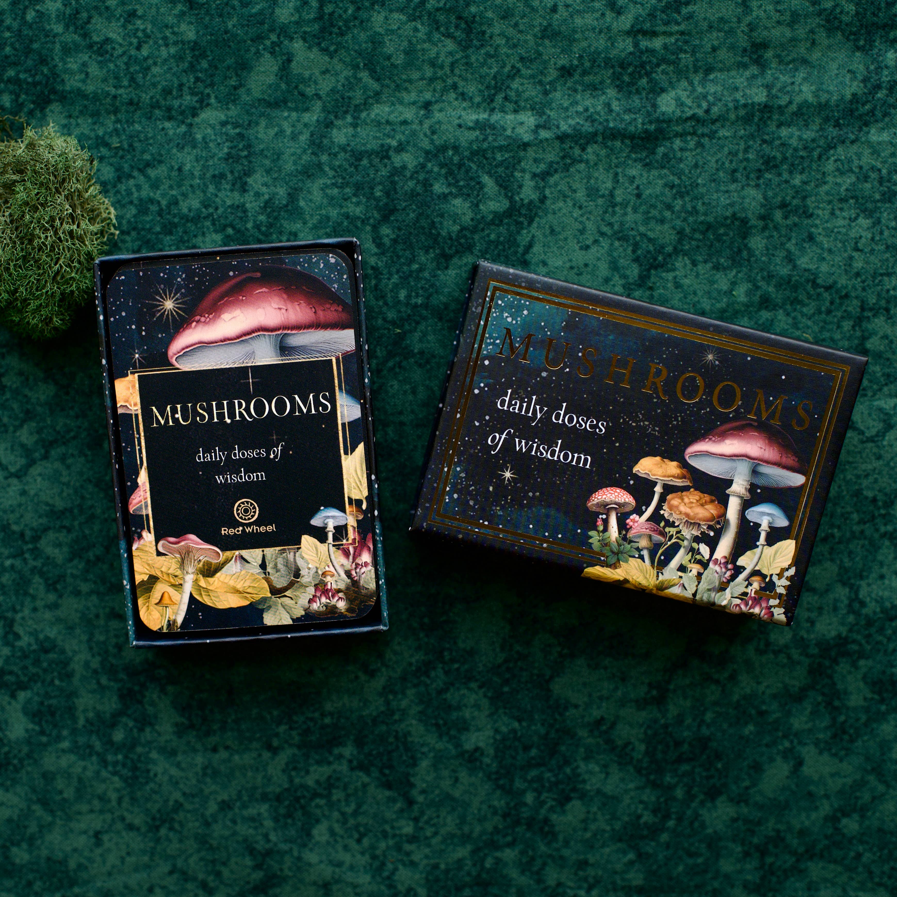 Red Wheel/Weiser LLC - Wholesale Tarot Cards - Mushrooms: Daily Doses of Wisdom (36 Gilt-Edged Mini Cards)2