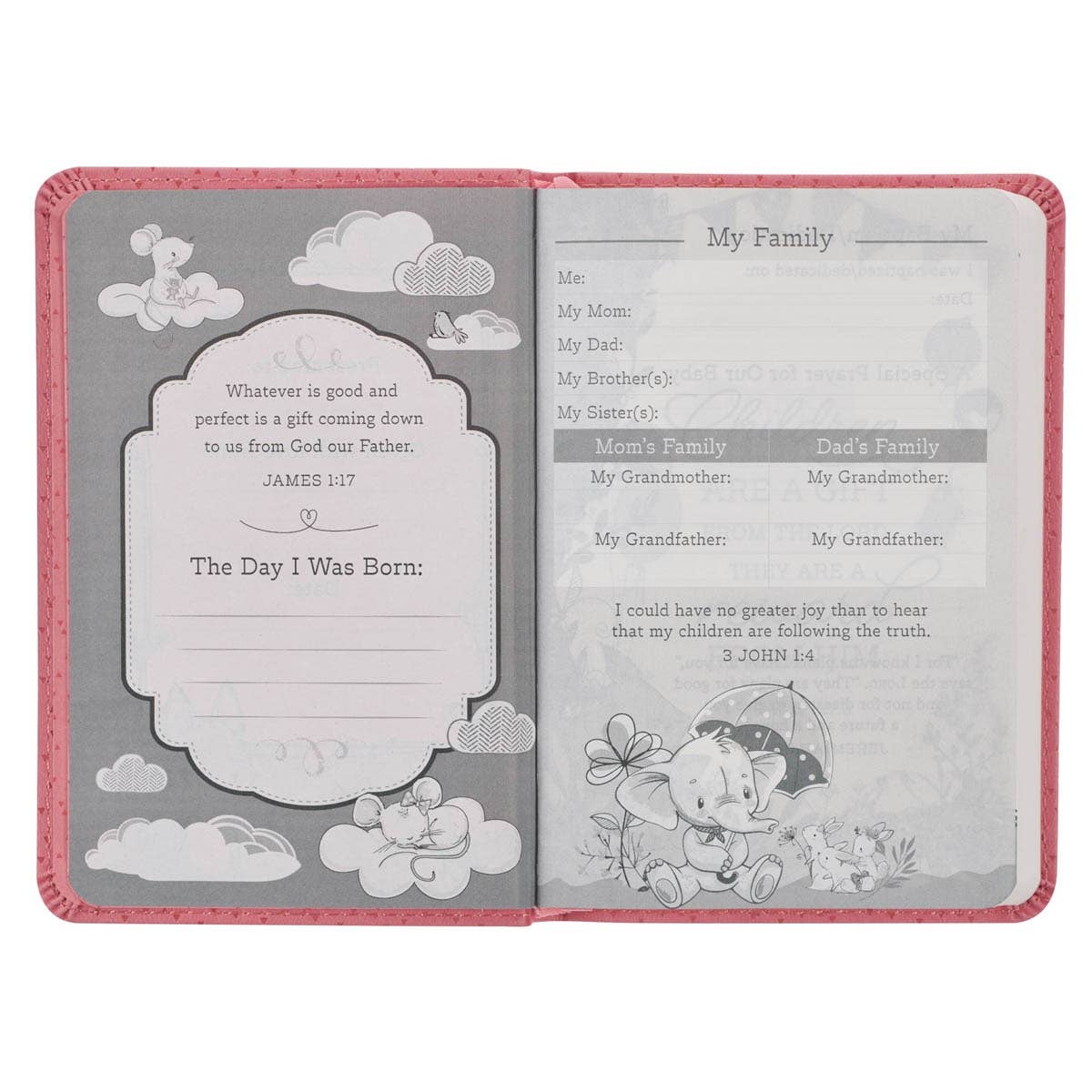 Christian Art Gifts - Wholesale Religion - Bible NLT Infant New Testament Faux leather, Pink3