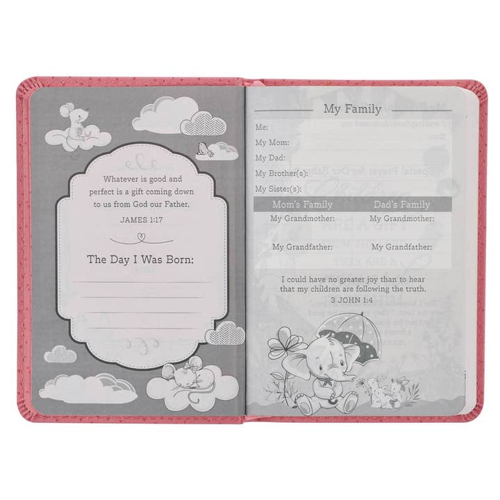 Christian Art Gifts - Wholesale Religion - Bible NLT Infant New Testament Faux leather, Pink3