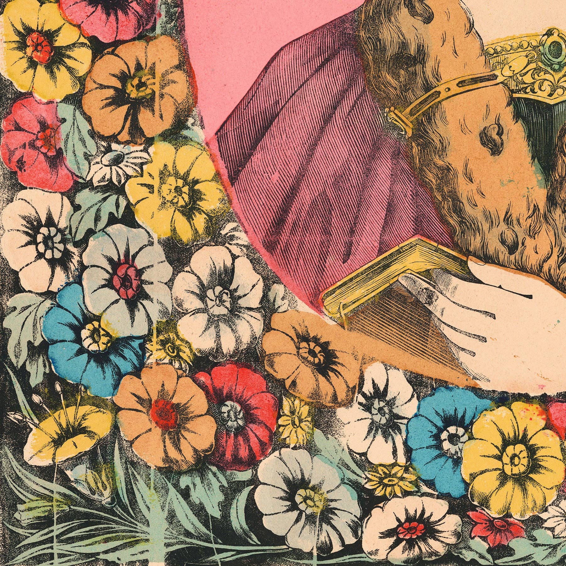 Aster Edition - Wholesale Poster - Poster: Clotilde3