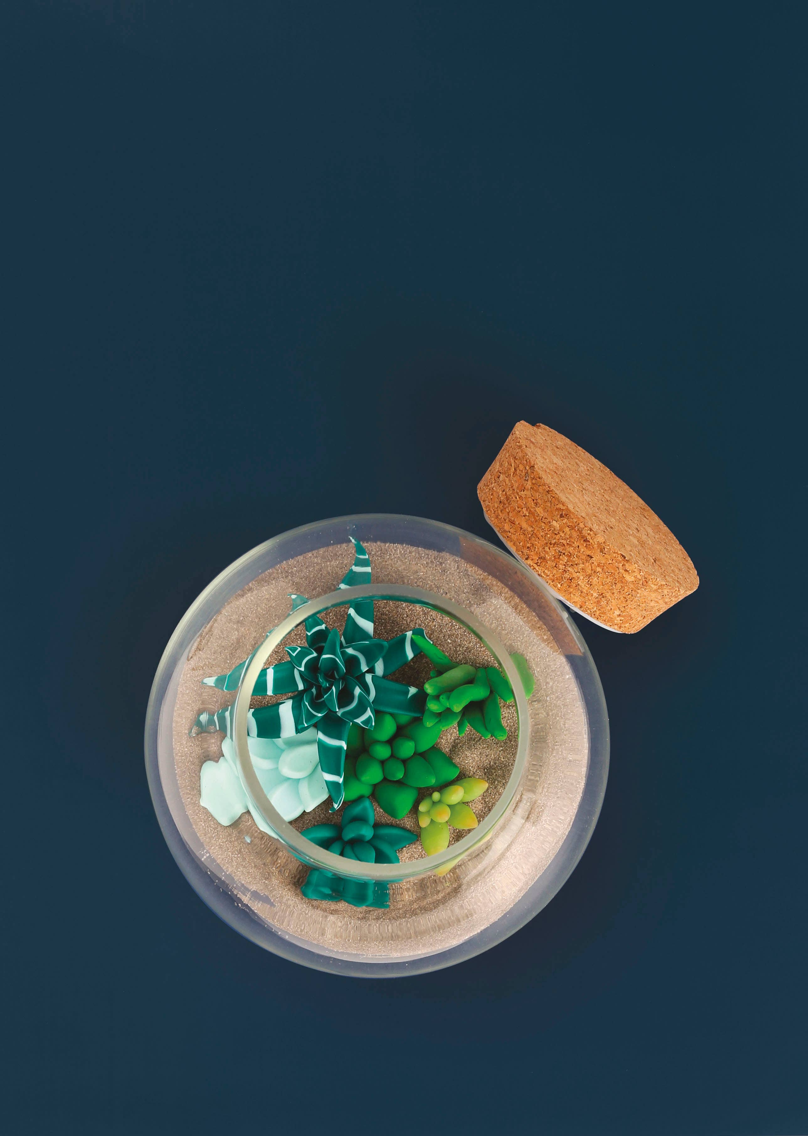 Graine Créative – Großhandel Bastelzubehör – FIMO® Terrarium-Set6