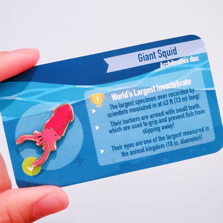 Informative Enamel Pin: Giant Squid for wholesale by Umvvelt LLC