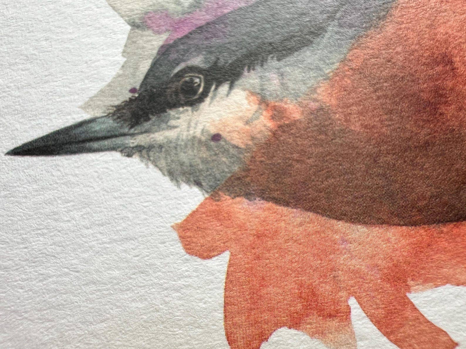 Georgina Doodles - Wholesale Everyday Greeting Card - Nuthatch Greetings Card | Blank card, Bird Art, Watercolour print3