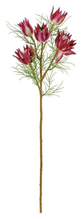 Select Artificials, Inc. - Wholesale Artificial Flowers - Wild Protea, 23.5", Burgundy