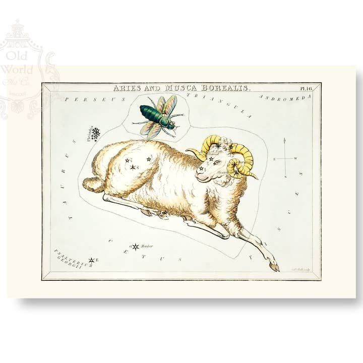 Stampa del grafico zodiacale dell'Ariete per la vendita all'ingrosso da parte di Old World Art Co.