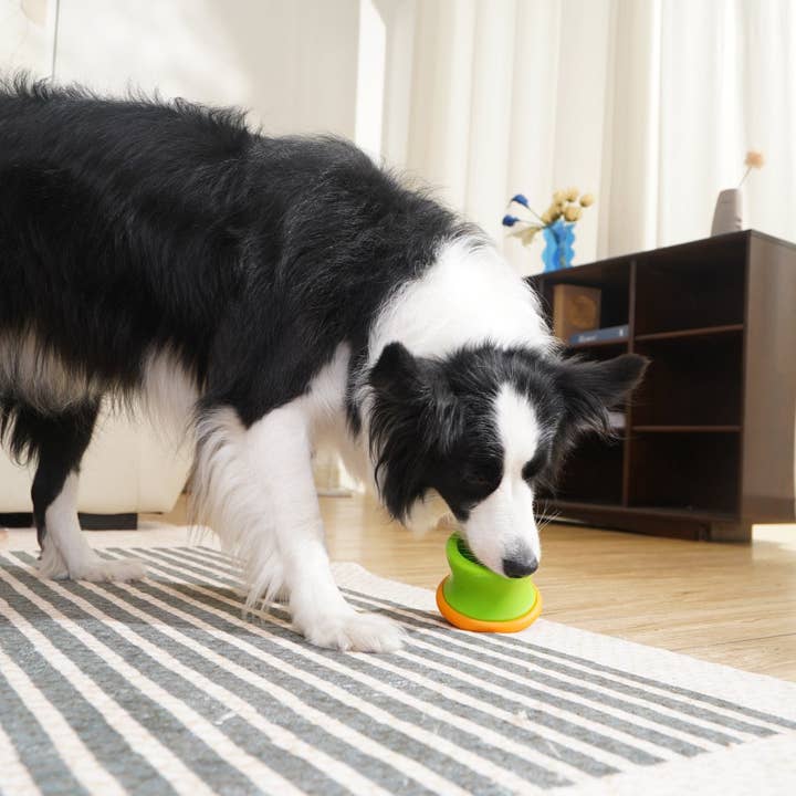 Pet Future llc - Wholesale Pet Toy - Cat/Dog - Puzzle Tumbler (S/M), detachable dog enrichment toy 2025 New6