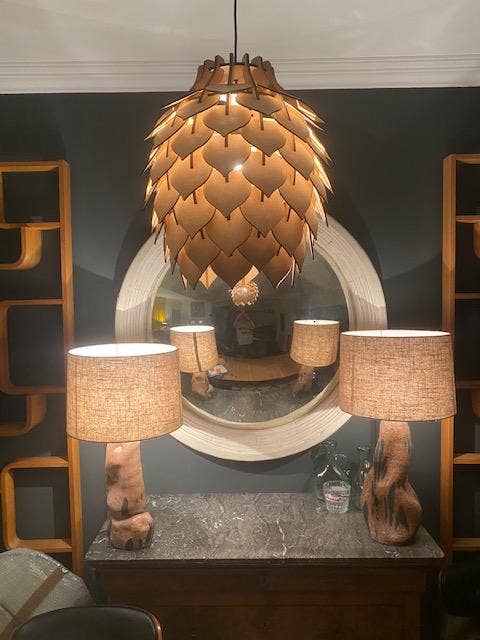 Botanical Boys – wholesale Chandelier/hanging light – Protea Lights5