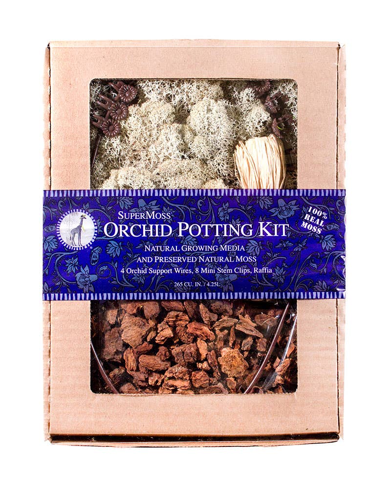 SuperMoss - Vendita all'ingrosso Kit per lavoretti fai da te - Kit per invasare orchidee, muschio di renna3