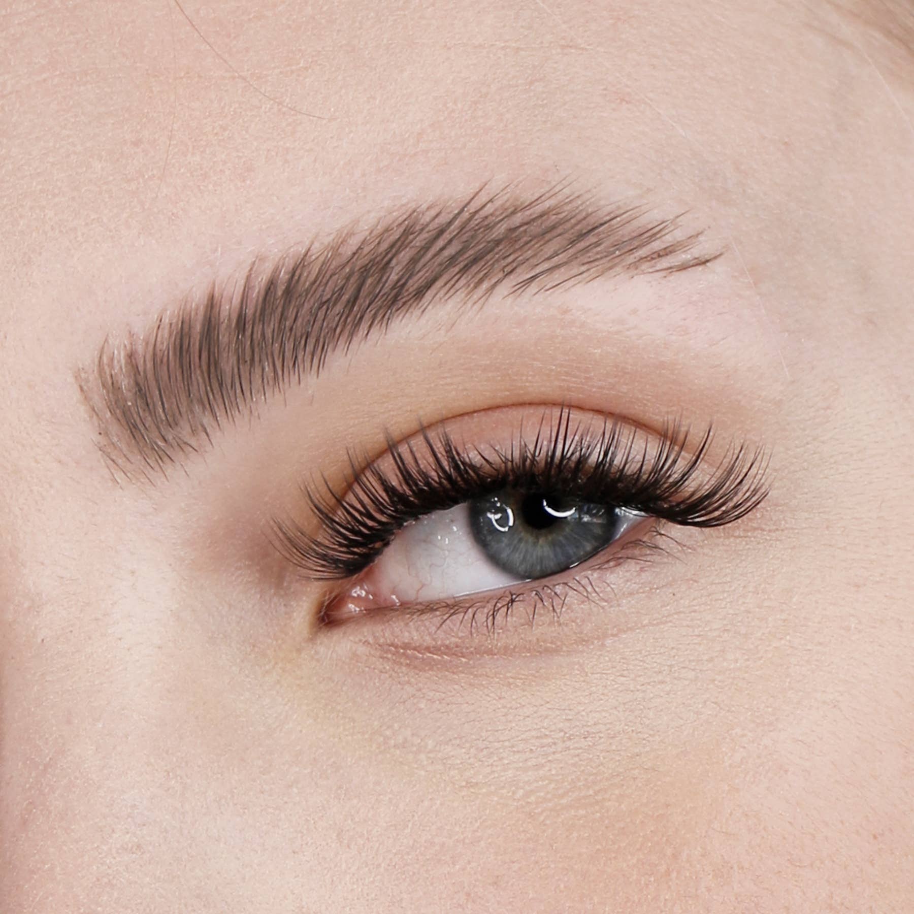 NICLAY - Wholesale Eyebrow Set/Kit - Brow styling gel2