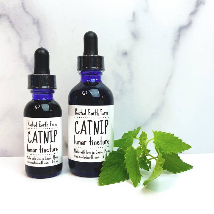 Rooted Earth Farm + Apothecary - Wholesale Tincture - Catnip Tincture - 2 Size Options2