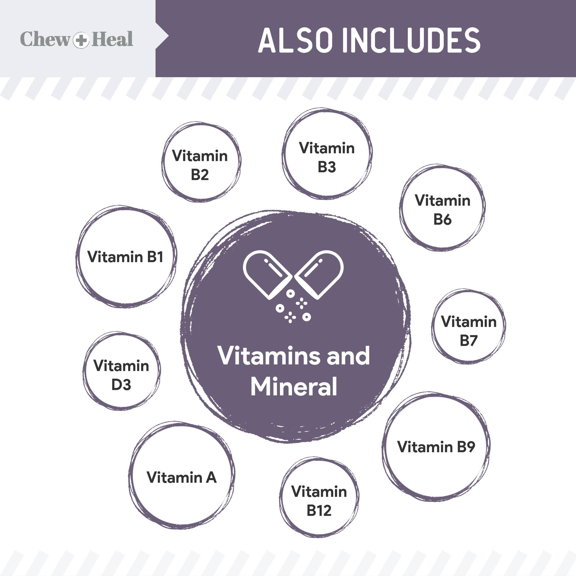 Chew + Heal - Wholesale Pet Treats - Dog - Senior Wild Alaskan Salmon Limited Ingredient Dog Treats6