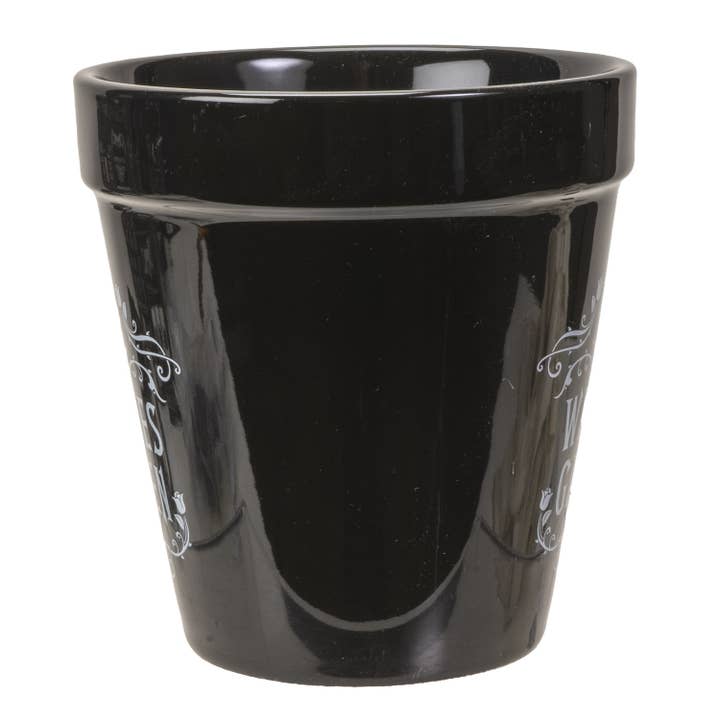 Pacific Trading - Wholesale Plant Pot - 15217 Witches Garden Planter Halloween Decor