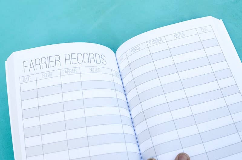 Circus Unicorn Shop - Vendita all'ingrosso Diari/agende - Diario di bordo del Barn Manager14