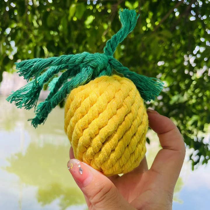 Handgemaakt duurzaam ananastouwspeelgoed voor wholesale door Monli Handcrafted Pet Toys