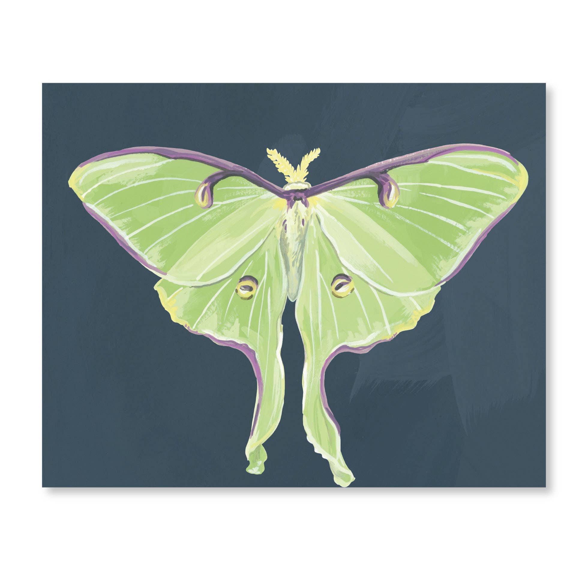 1canoe2 | One Canoe Two Paper Co. - Wholesale Stationery/Notecard Set - Luna Moths Fold-Out Greeting Card Box Set2