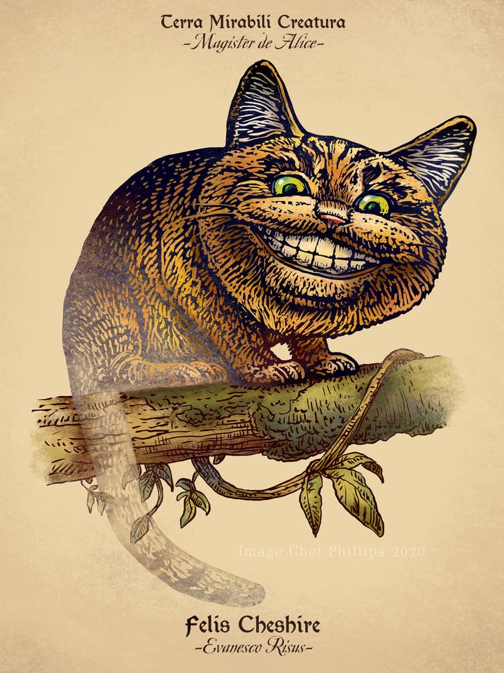 Cheshire Cat Study 8" x 10" print for wholesale by ChetArt