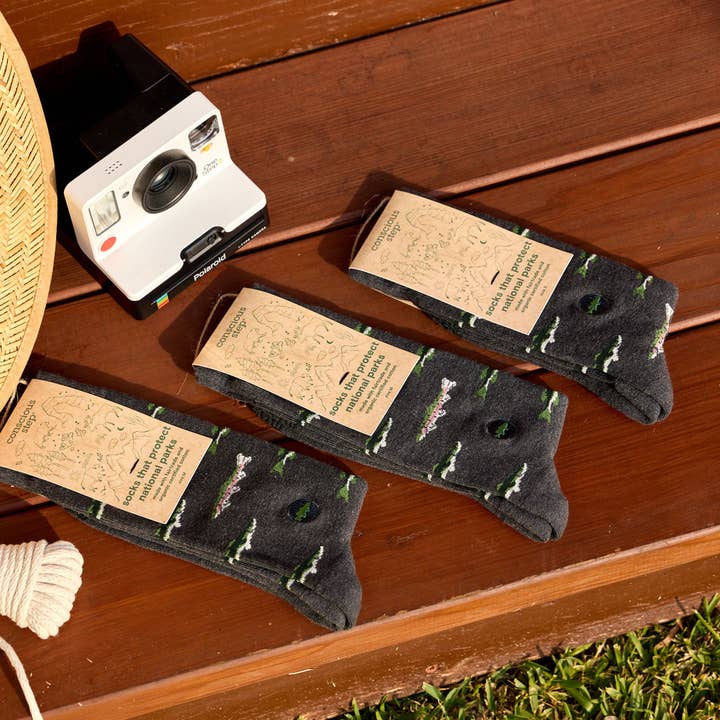 Conscious Step - Wholesale Socks - Unisex - Socks that Protect National Parks (Gray Fish)