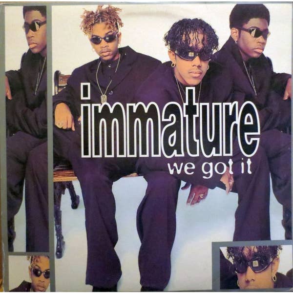 Real Retro - Wholesale Music CD/Vinyl - IMMATURE We Got It Vinyl Record