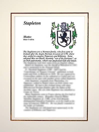 Stapleton for wholesale by Family Histories