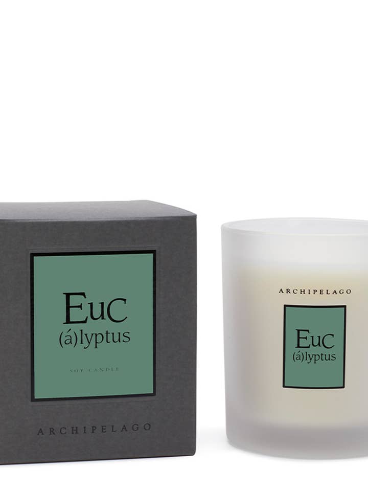 Eucalyptus Boxed Candle for wholesale by Archipelago Fragrances