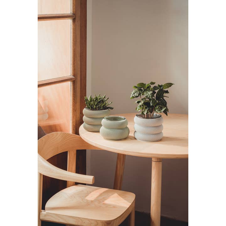 Sheyn - Wholesale Plant Pot - Koyl—10 Planter15