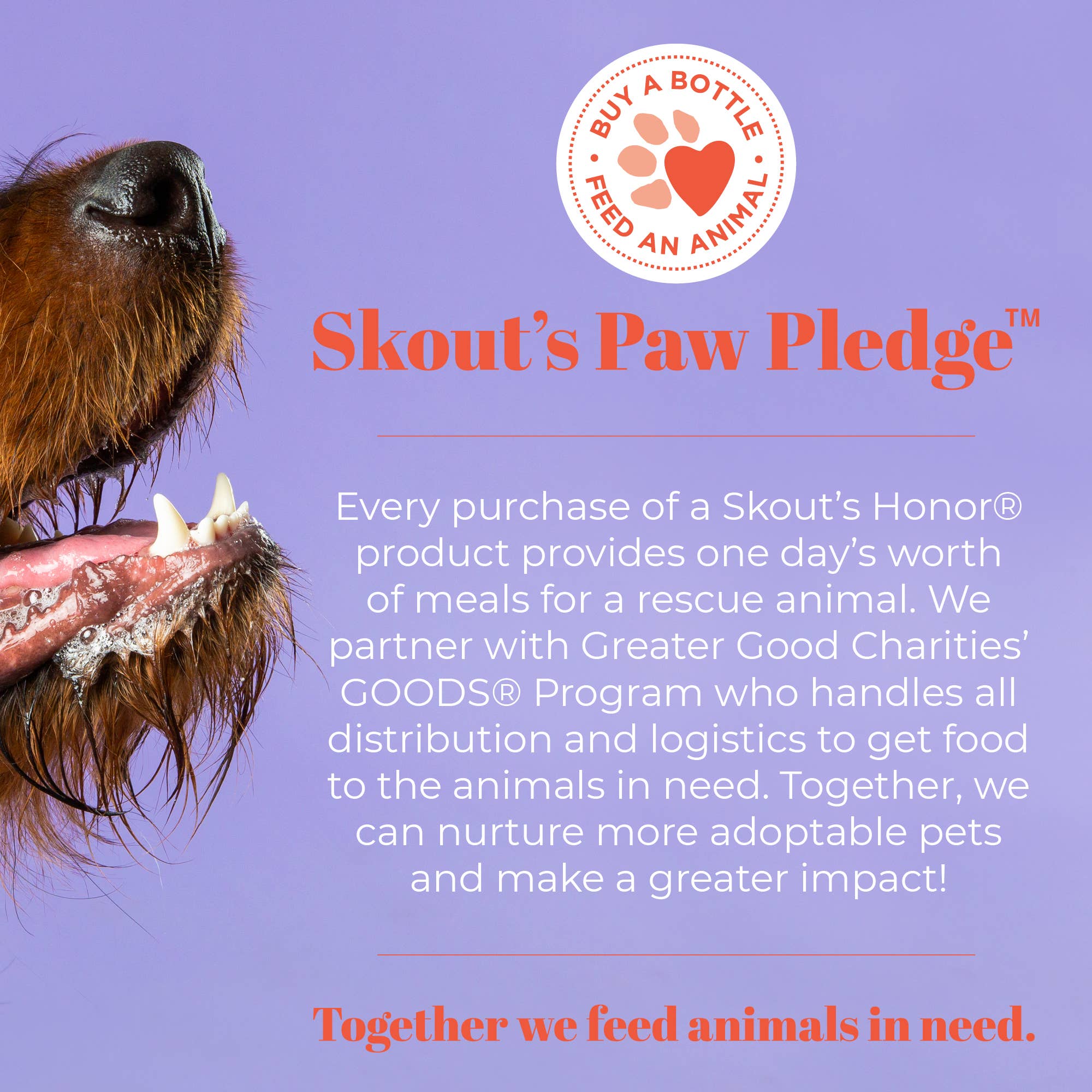 Pet Palette Distribution - Wholesale Pet Grooming Aid - Dog - Skout's Honor Oral Gel: Peanut Butter & Bacon 4oz8