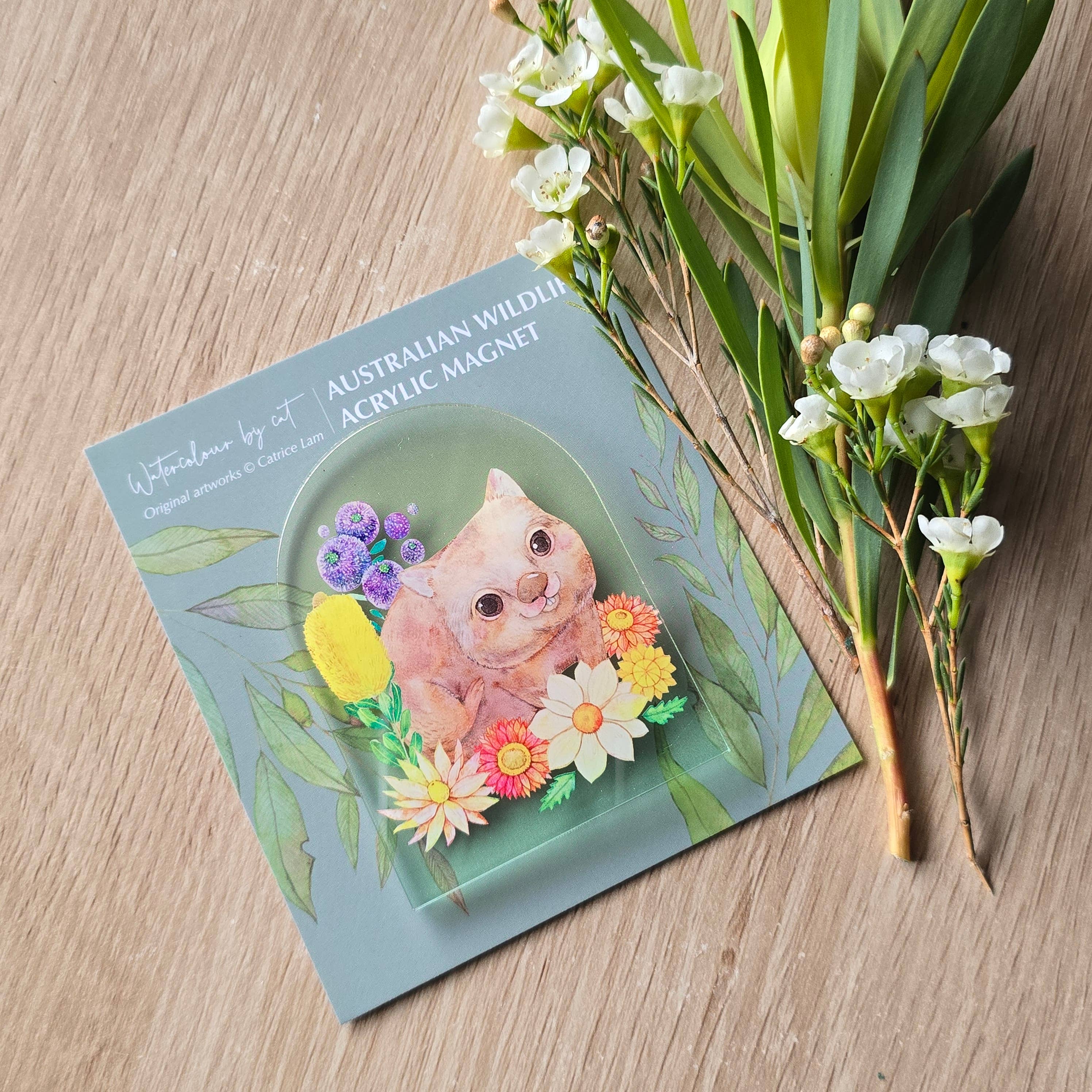 Watercolour By Cat - Wholesale Magnet - Australian Animals Womat Magnet2