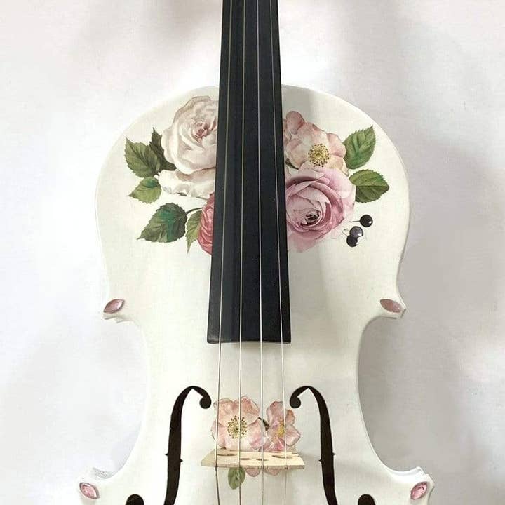 Rozanna's Violin - Vendita all'ingrosso Strumenti musicali - Completo da violino Rose Delight di Rozanna