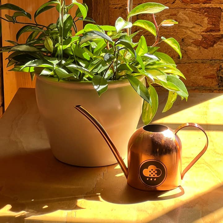 The Cloud Makers - Wholesale Watering Can - Cloud Makers Copper Watering Can4