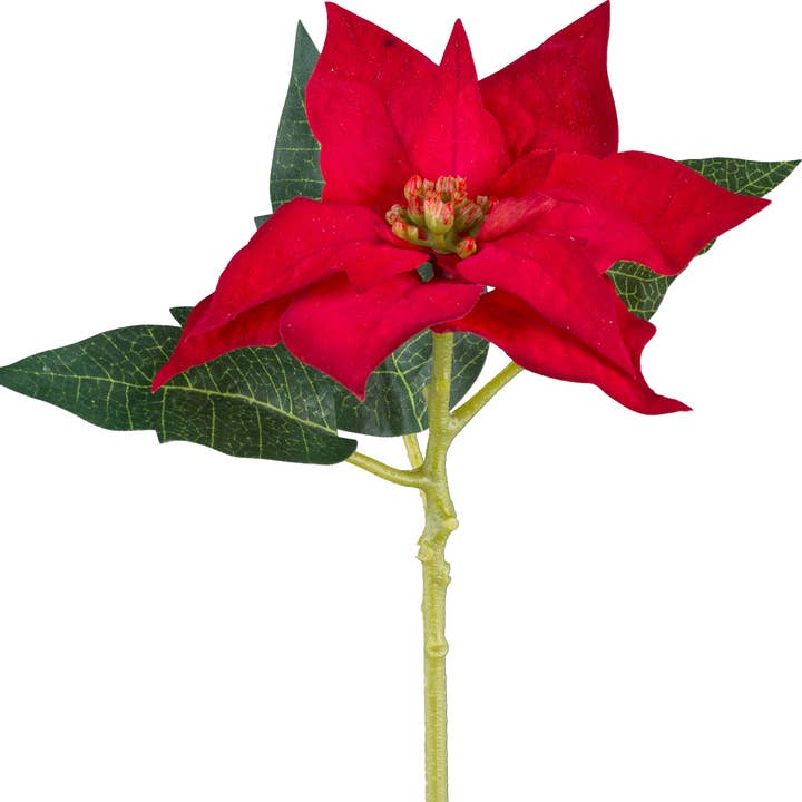 Poinsettia, 40cm, red for wholesale by GASPER GmbH