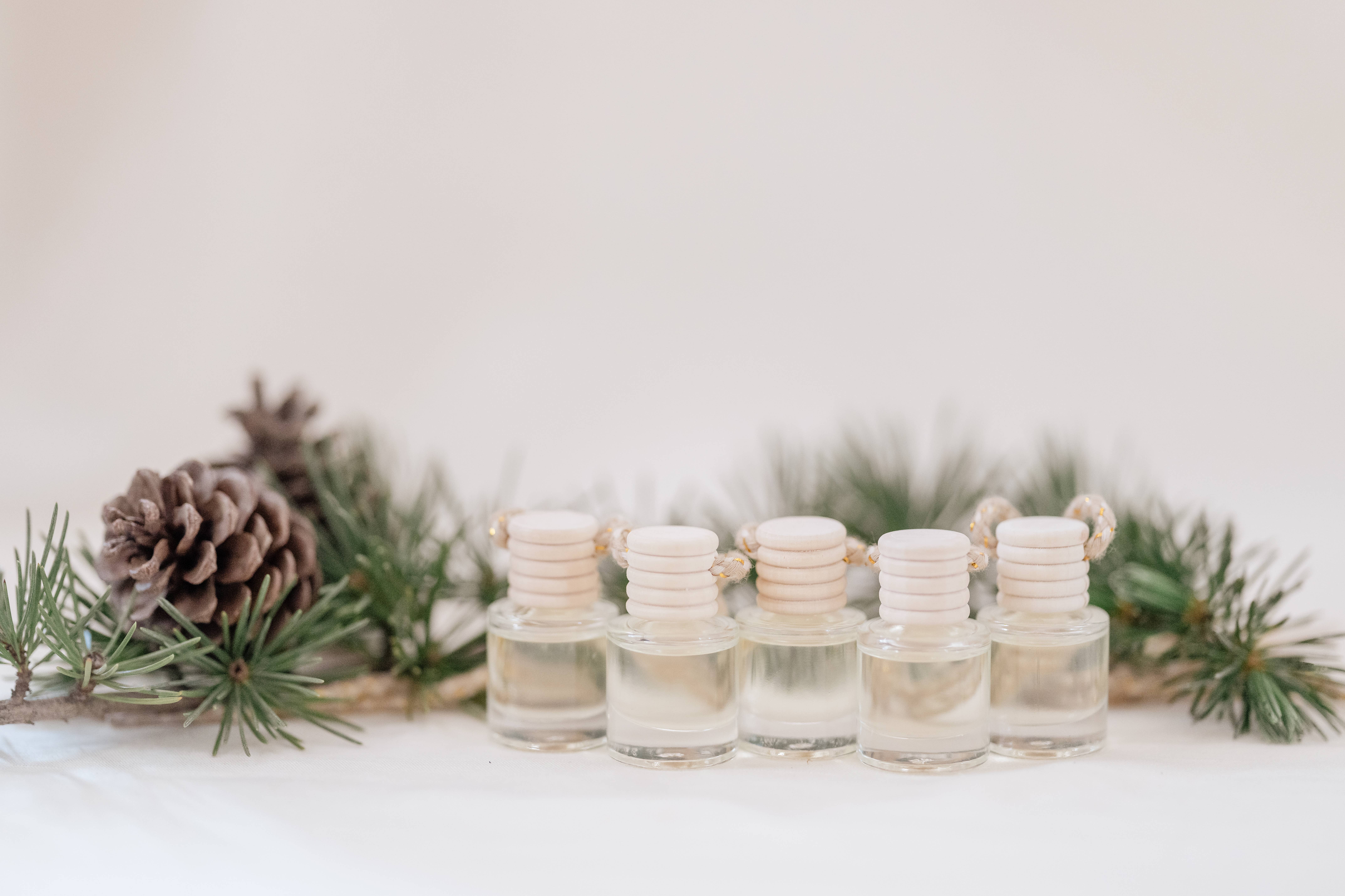 Ivy & Sage Collection – wholesale Fragrance oil – Frosted Birch Car Diffuser – Juniper, Pine & Crisp Air3