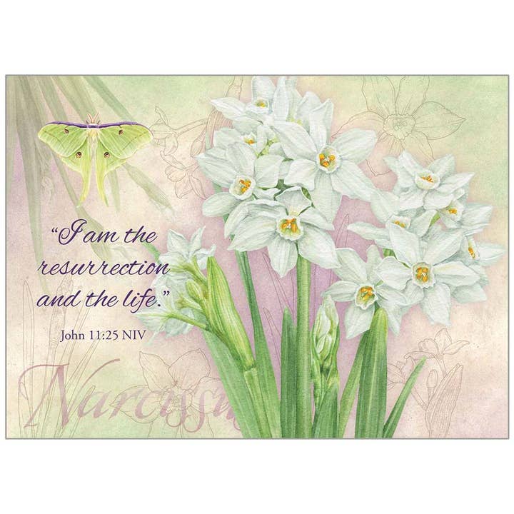New Narcissus - Faith Easter Card for wholesale by Legacy