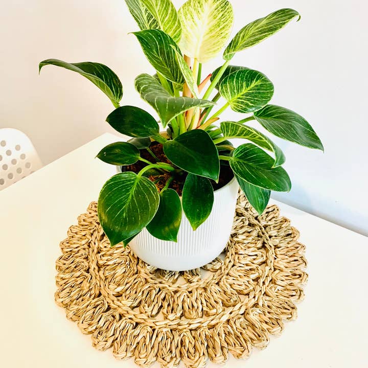 Coucou Bamboo - Wholesale Placemat - Flower Woven Placemats