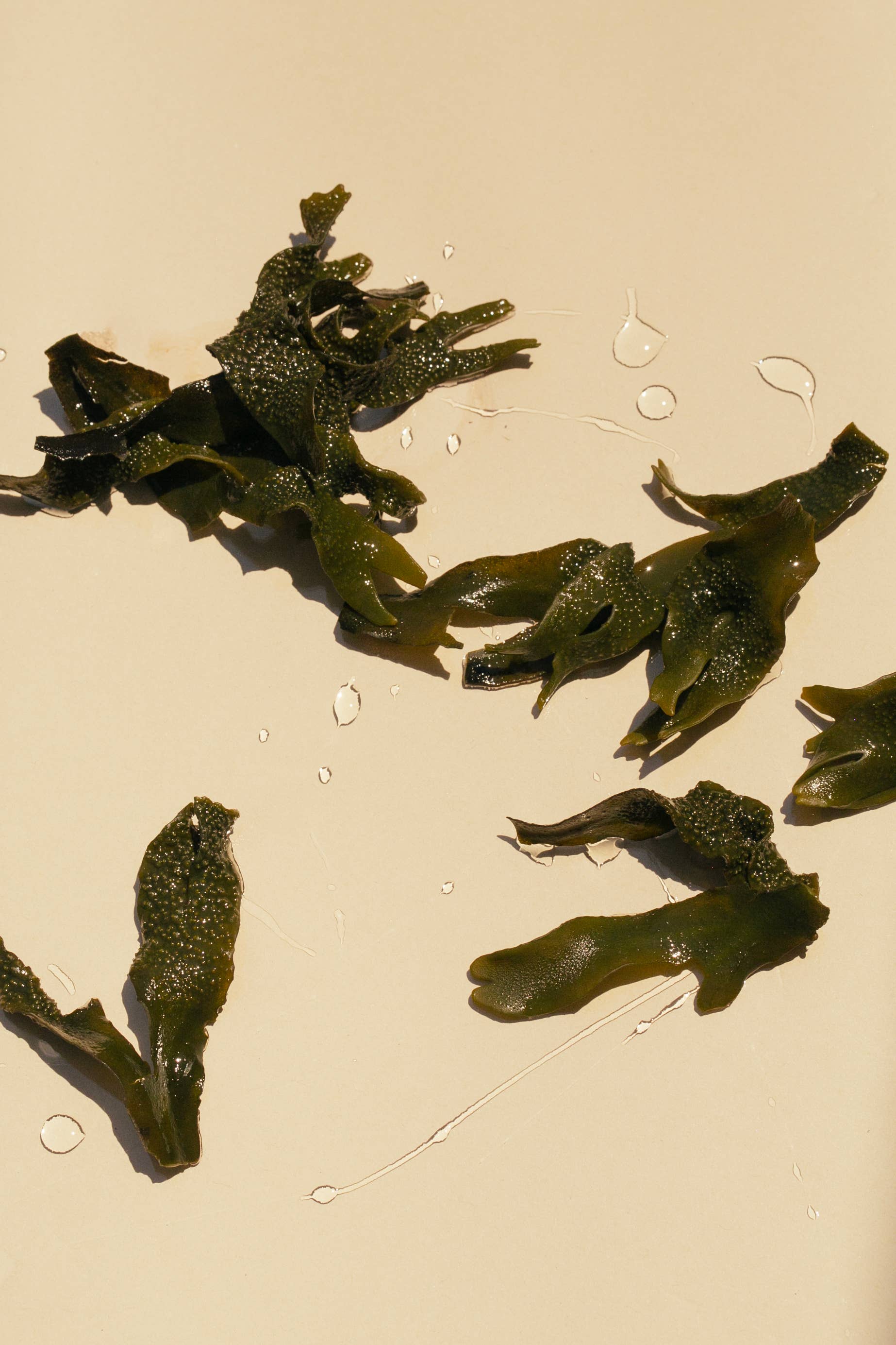 SUMMER SOLACE- Regenerative Tallow Beauty - Wholesale Zeepblok - Sea Change zeewierzeep – Neroli en blaaswier, 140 g5