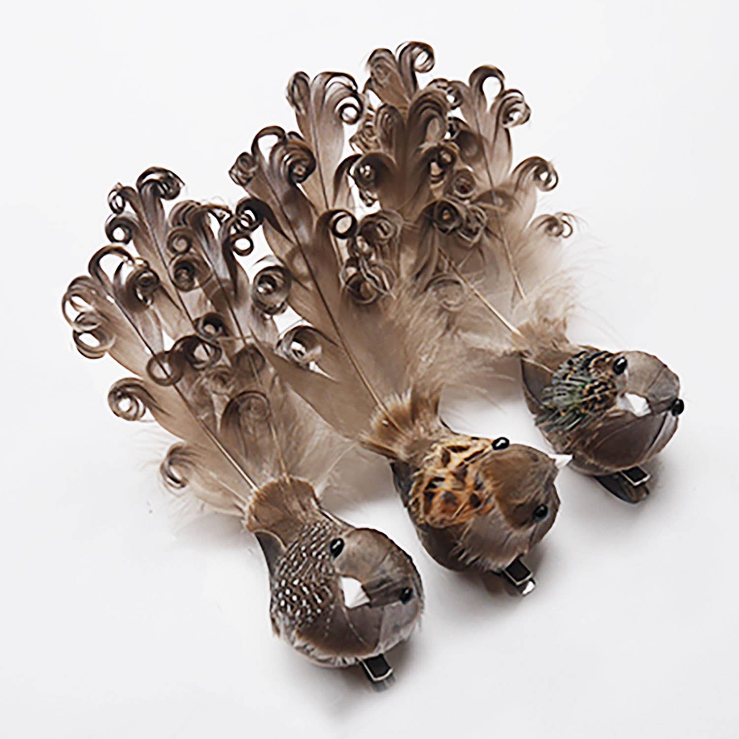 A&B Home Group Inc. - Wholesale Ornament - S/3 6x1.8x2" Feather Bird - Natural0