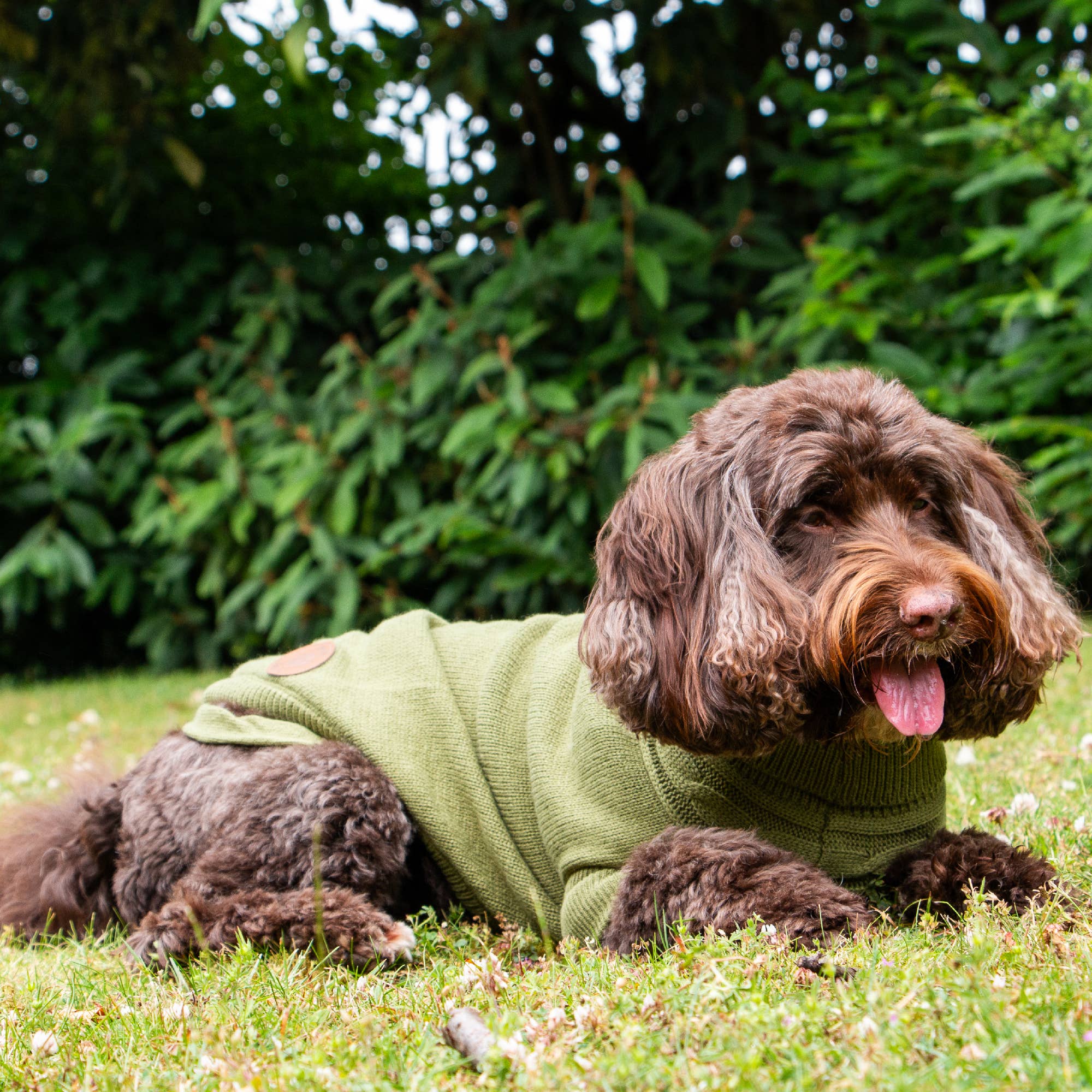 Ancol Pet Products Ltd – wholesale Pet jumper – Dog – Snug Cable Knit Jumper GREEN ( 4 sizes available) 2