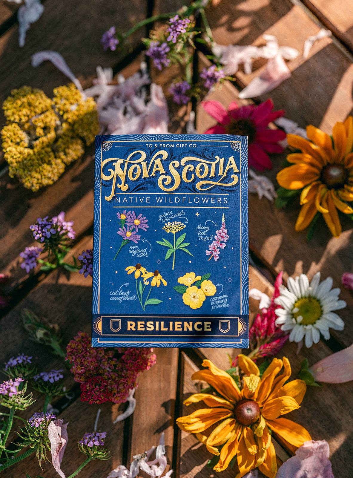 To & From Gift Co. - Venta al por mayor Semillas de plantas - Flores silvestres nativas de Nueva Escocia (resiliencia) - Paquete de semillas