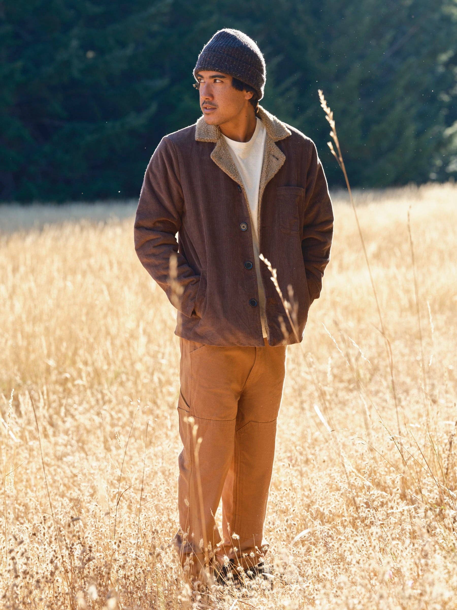 Dunkelbrauner Cordstoff Mack-Jacke für den Großhandel auf Faire13