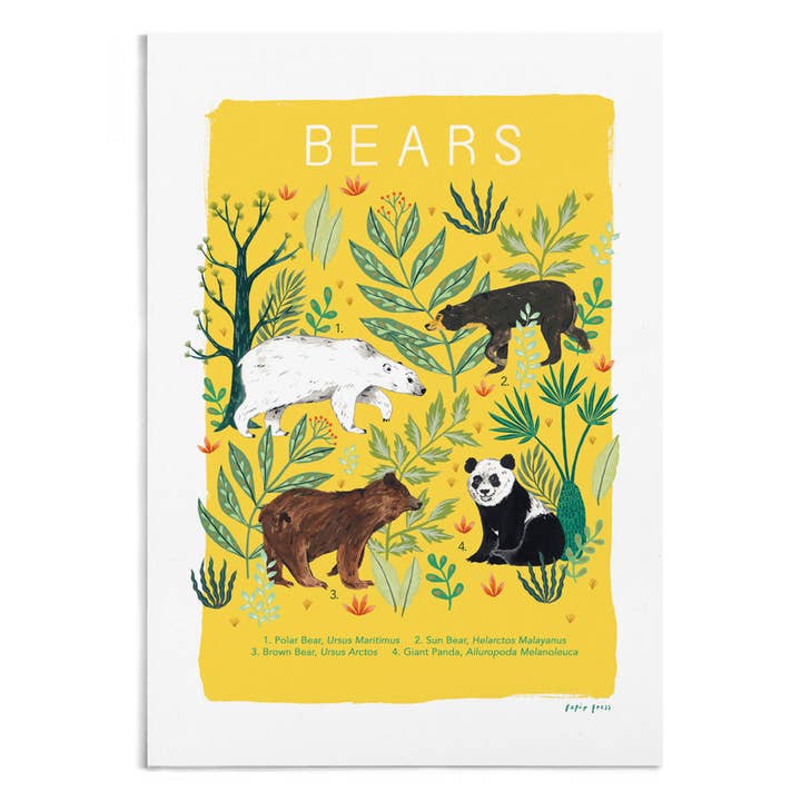 Papio Press - Wholesale Art Print - Bears Natural History Print Artists Print Wall Art