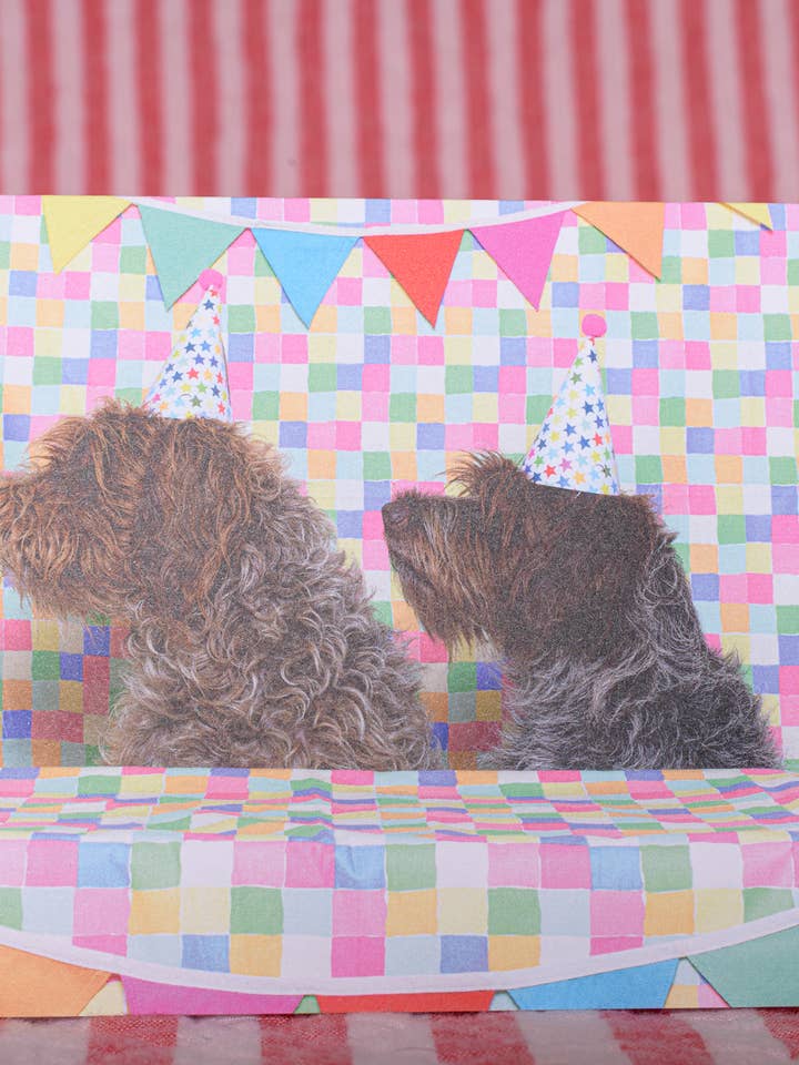 Carte de vœux d'anniversaire drôle avec photographie de chiens mignons et ébouriffés pour la vente par The Velvet Big Top