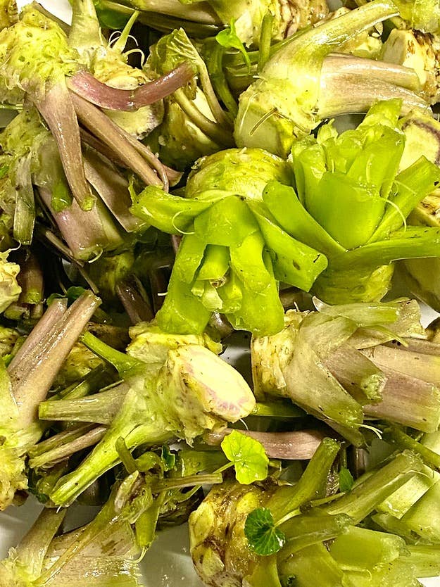 Weymouth 51 Hot Sauces - Wholesale Tincture - Dorset Fire Tonic® Mild 500ml2